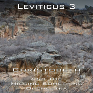 Leviticus Chapter 3