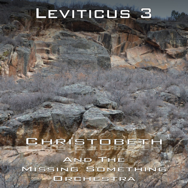 Leviticus Chapter 3