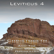 Leviticus Chapter 4