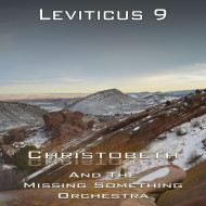 Leviticus Chapter 9