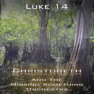 Luke Chapter 14