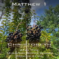 Matthew Chapter 1