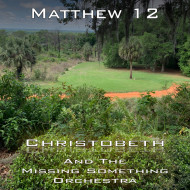 Matthew Chapter 12
