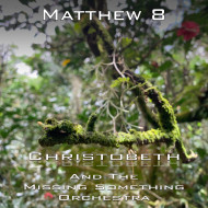 Matthew Chapter 8