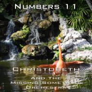 Numbers Chapter 11