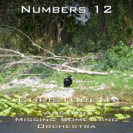 Numbers Chapter 12
