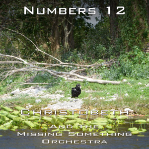 Numbers Chapter 12