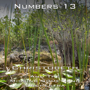Numbers Chapter 13
