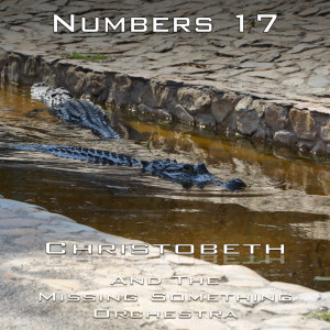 Numbers Chapter 17