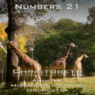 Numbers Chapter 21