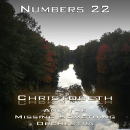 Numbers Chapter 22
