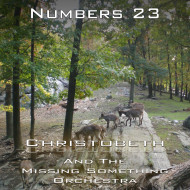 Numbers Chapter 23