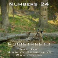 Numbers Chapter 24
