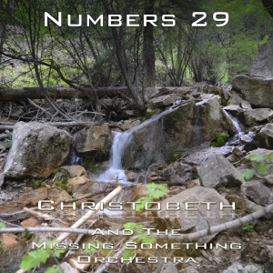 Numbers Chapter 29