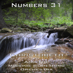 Numbers Chapter 31