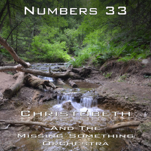 Numbers Chapter 33