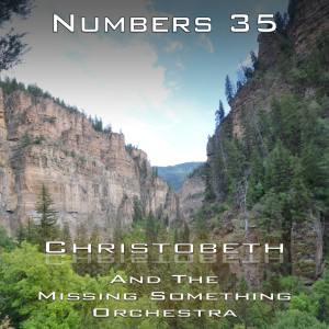 Numbers Chapter 35