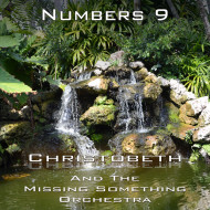 Numbers Chapter 9